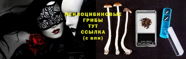 2c-b Аркадак