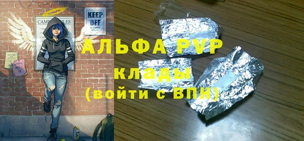 гашик Арсеньев