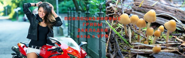 2c-b Аркадак