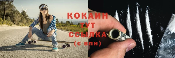 гашик Арсеньев