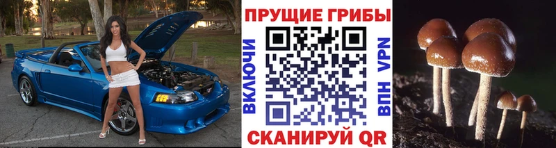 Псилоцибиновые грибы Magic Shrooms Мичуринск